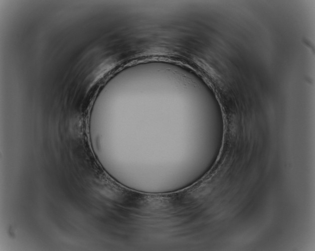 X0000093451258200710121347