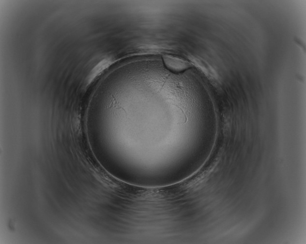 X0000093451259200710121346