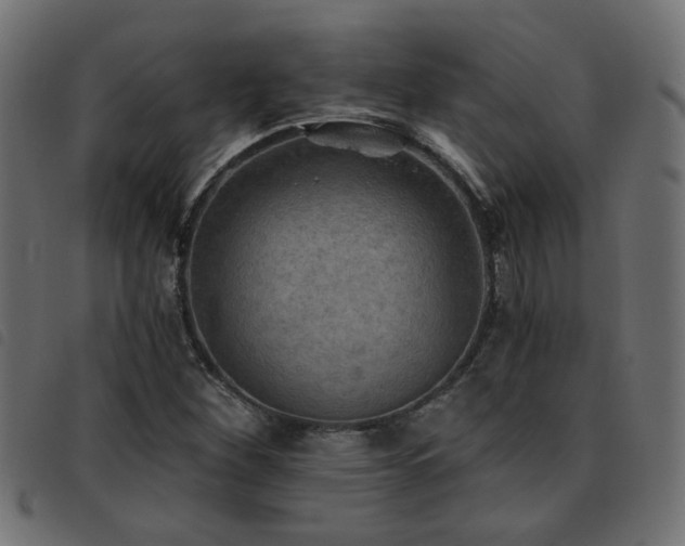 X0000093451260200710121346