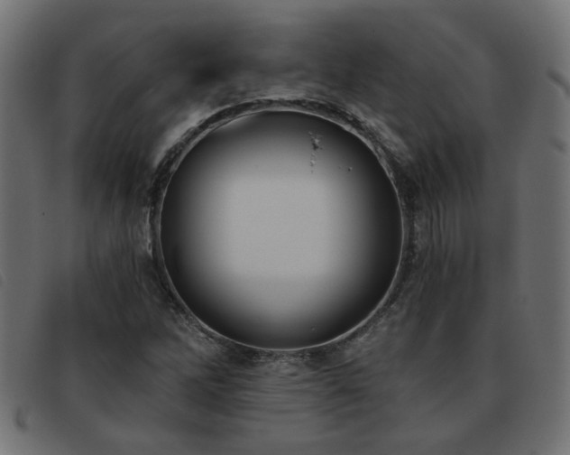 X0000093451262200710121346