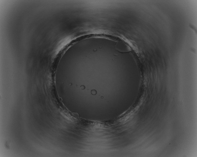 X0000093451263200710121346