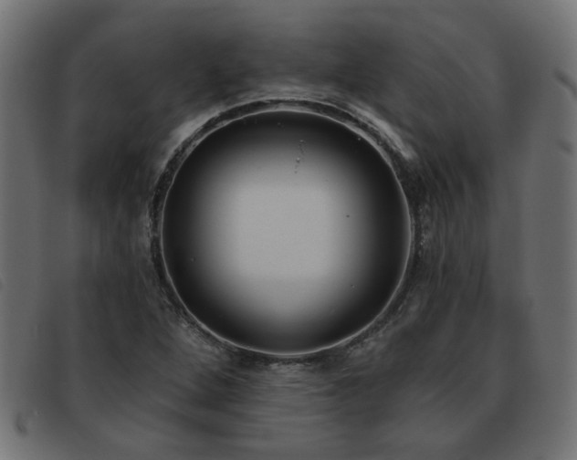 X0000093451264200710121346