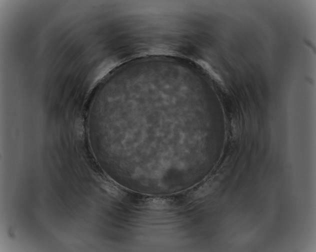 X0000093451266200710121346