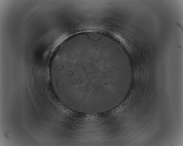 X0000093451267200710121346