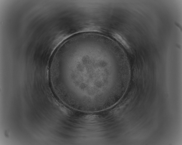 X0000093451268200710121346