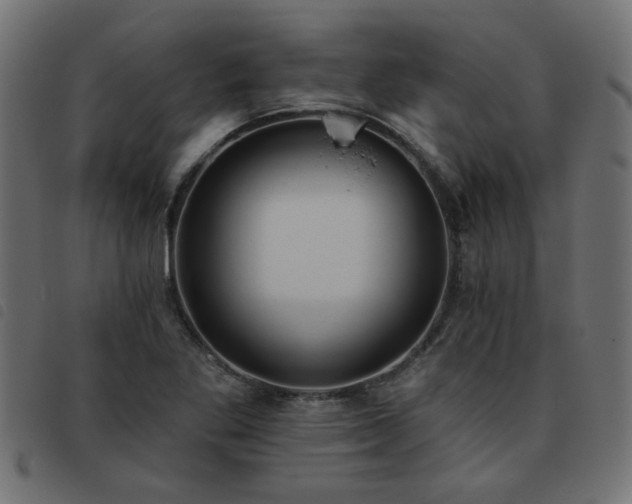 X0000093451269200710121346