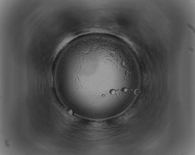 X0000093451271200710121346