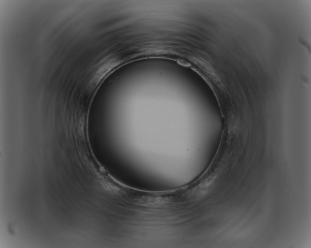 X0000093451273200710121346