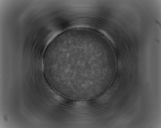X0000093451274200710121346
