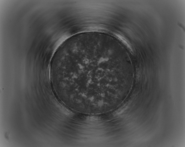 X0000093451275200710121346