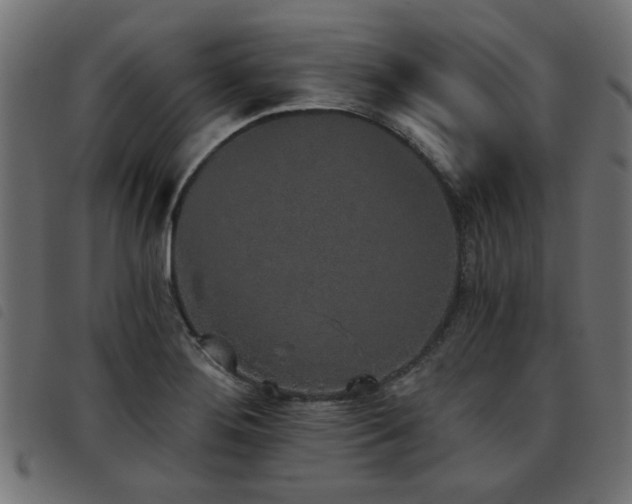 X0000093451276200710121346