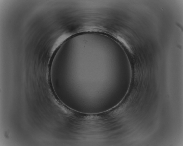 X0000093451277200710121346