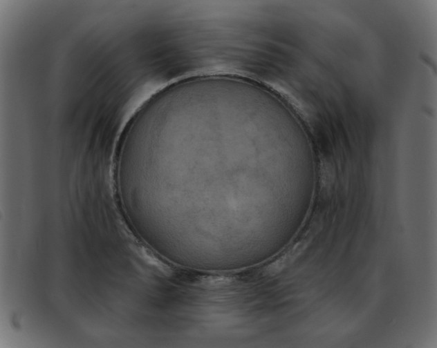 X0000093451278200710121346