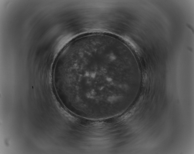 X0000093451279200710121346
