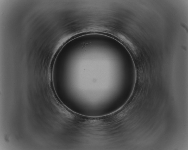 X0000093451280200710121346