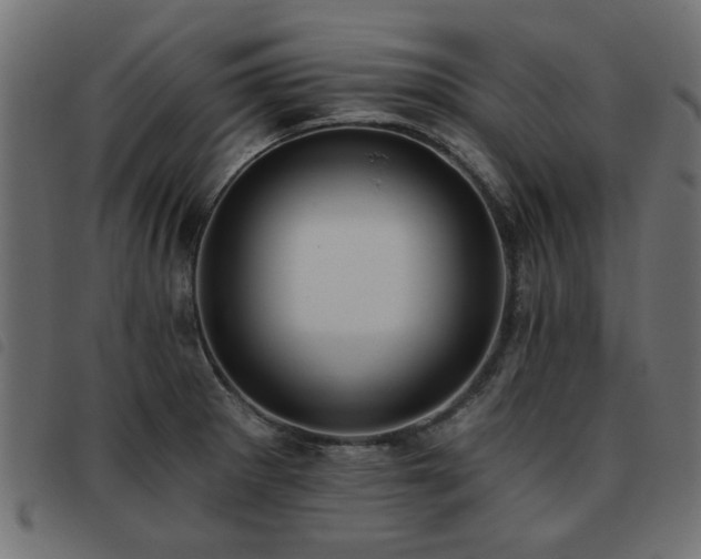 X0000093451281200710121346