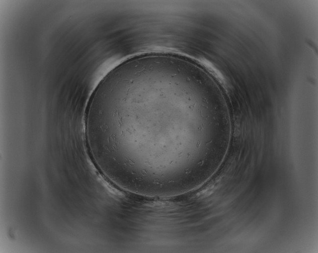 X0000093451287200710121346