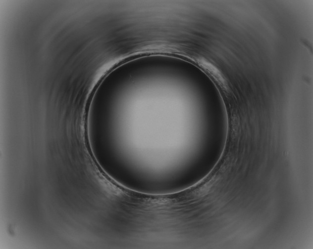 X0000093451288200710121346