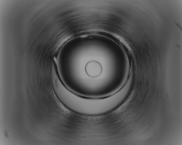 X0000093451289200710121346