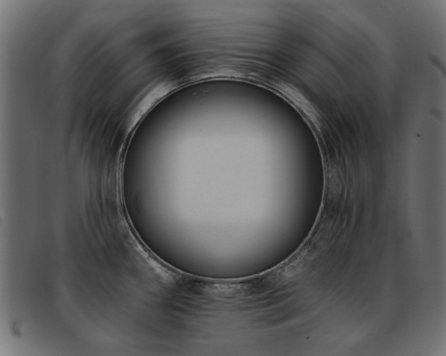 X0000093451290200710121346