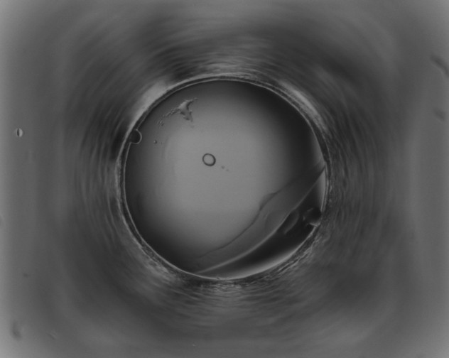 X0000093451291200710121346