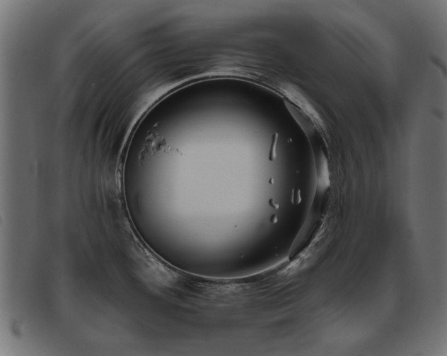 X0000093451292200710121346