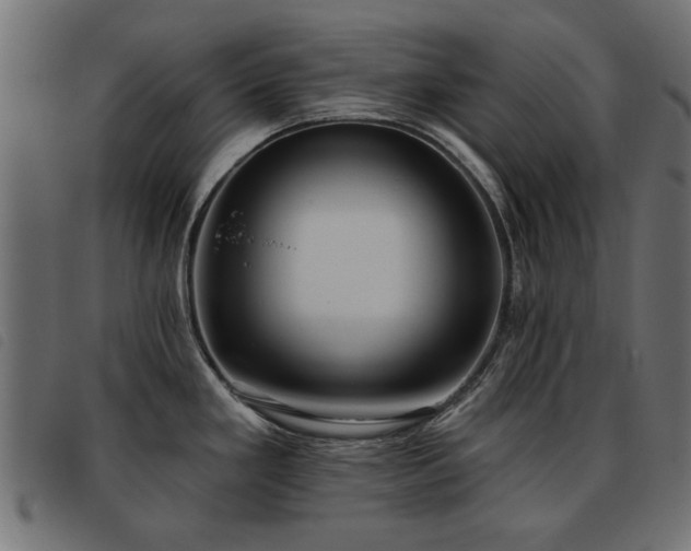 X0000093451293200710121346