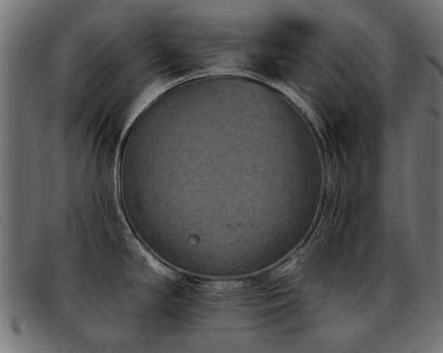 X0000093451294200710121346