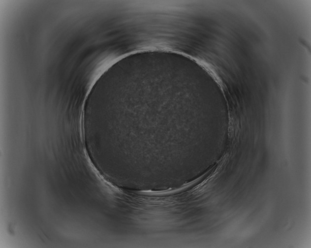 X0000093451295200710121346