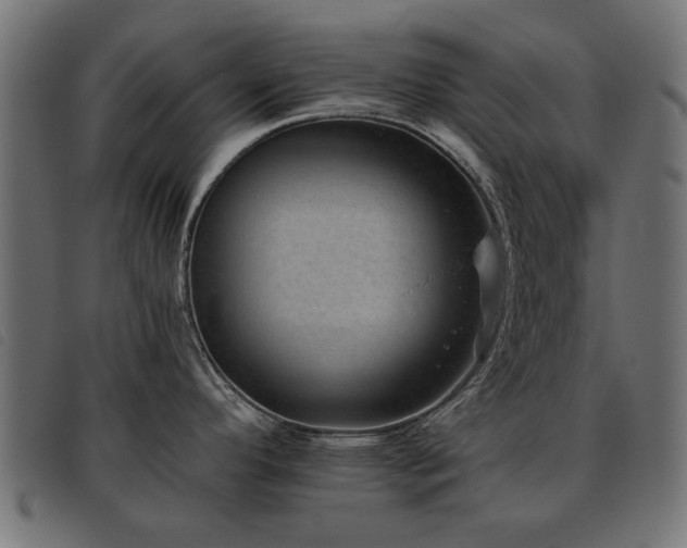 X0000093451296200710121346