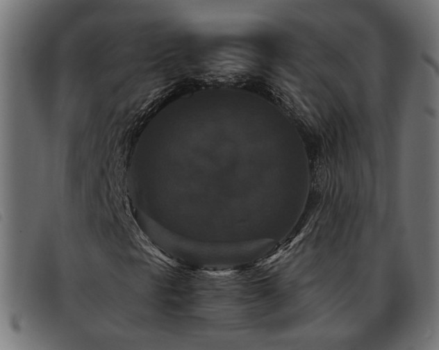 X0000093451297200710121345