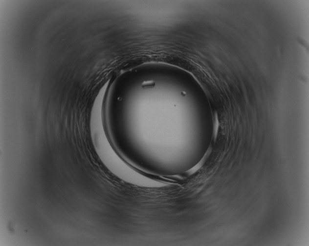 X0000093451298200710121345