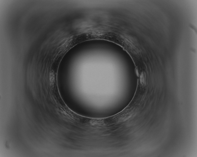 X0000093451299200710121345