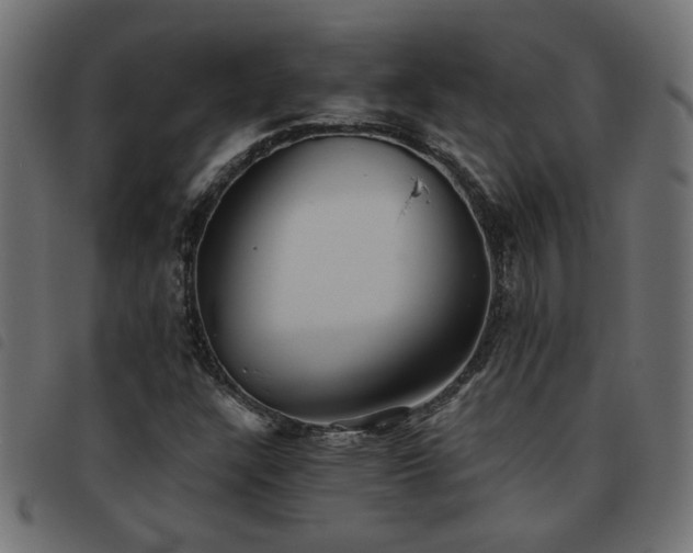 X0000093451304200710121345