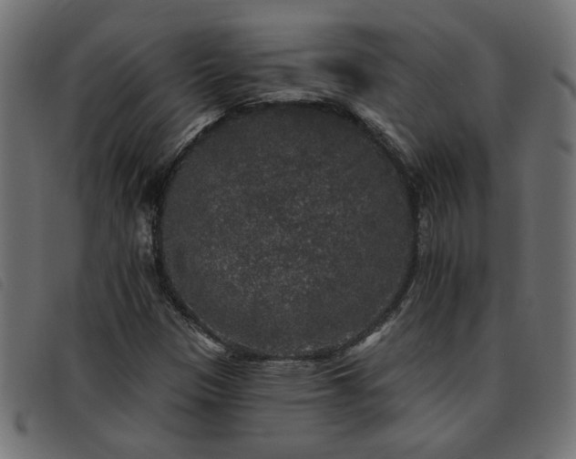 X0000093451305200710121345