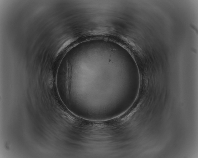 X0000093451306200710121345
