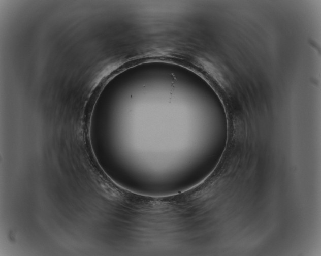 X0000093451308200710121345