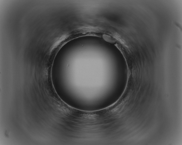 X0000093451309200710121345