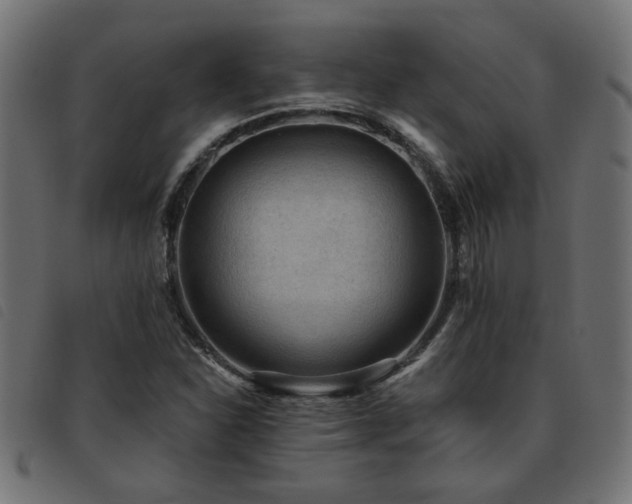 X0000093451310200710121346