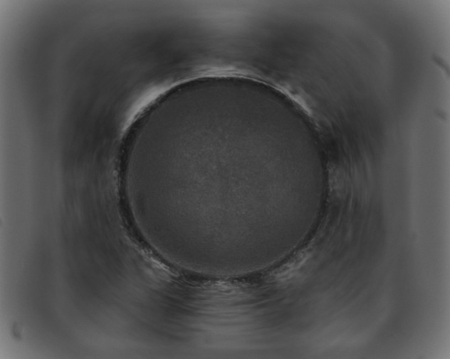 X0000093451311200710121346