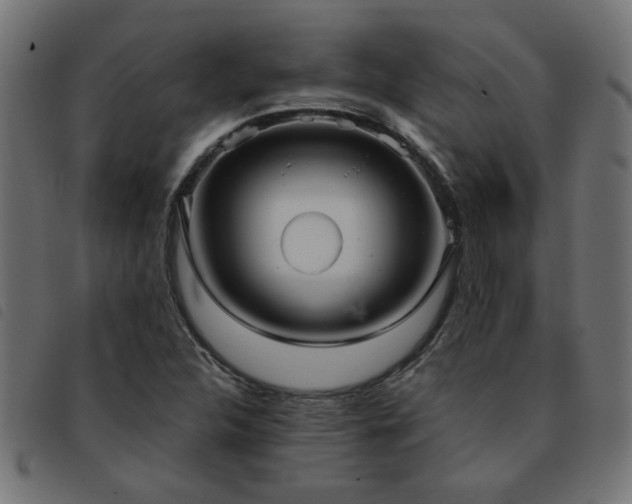 X0000093451312200710121346
