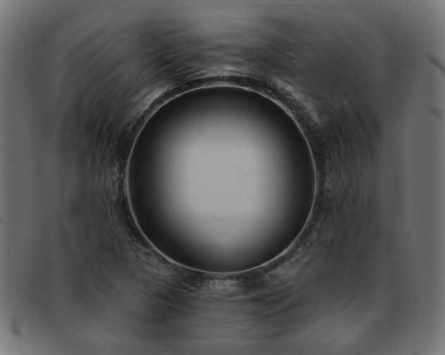 X0000093451313200710121346