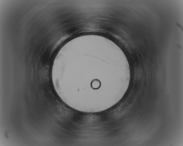 X0000093451314200710121346