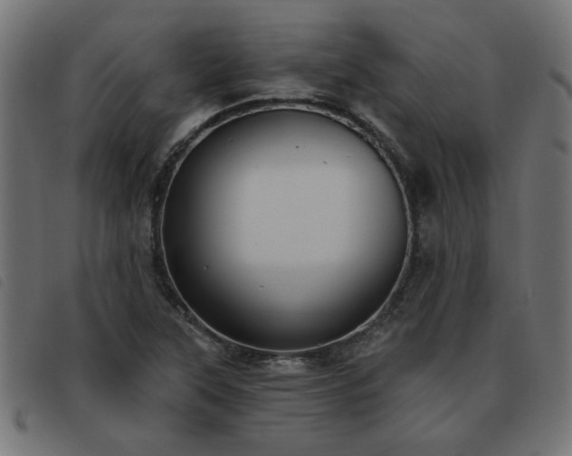 X0000093451315200710121346