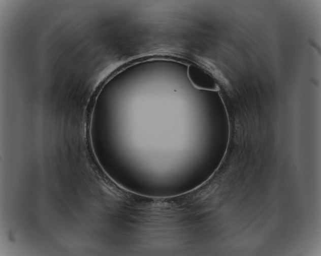 X0000093451316200710121346