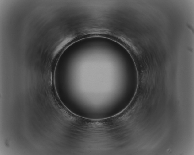 X0000093451317200710121346