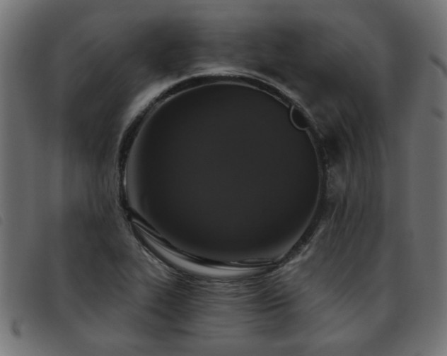X0000093451319200710121346