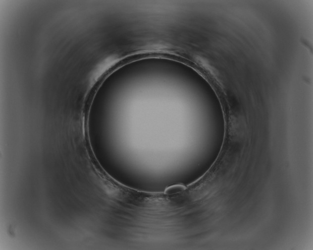 X0000093451320200710121346