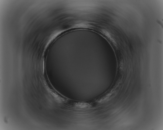 X0000093451323200710121346