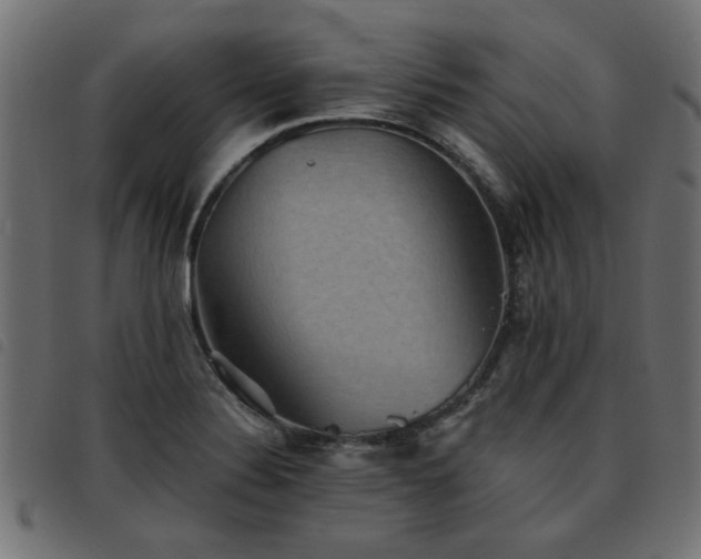 X0000093451324200710121346